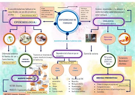 Enfermedad De Chagas Mapa Conceptual Enfermedad De Chagas La Porn Sex