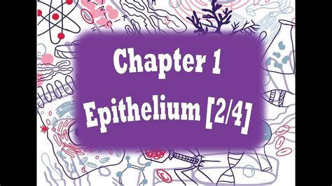 Histology Chapter Epithelium Lecture Youtube