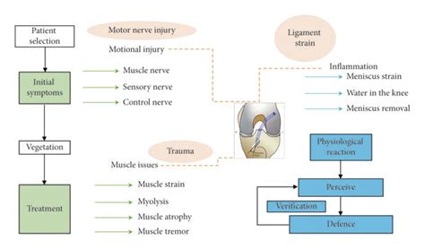 Complications In Acl Reconstruction Download Scientific Diagram