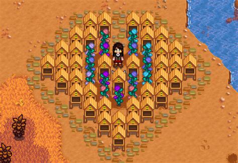 Flowers in Stardew Valley: The Beauty of the 4 Seasons - Stardew | Guide