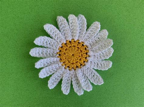 Finished Crochet Daisy 4 Ply Landscape Kerri S Crochet