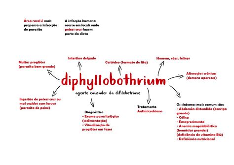 Mapa Mental Diphyllobothrium Esquemas Parasitologia Docsity