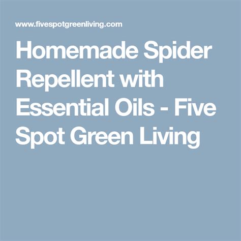 Home Remedy Using Peppermint Oil For Spiders Spider Repellent