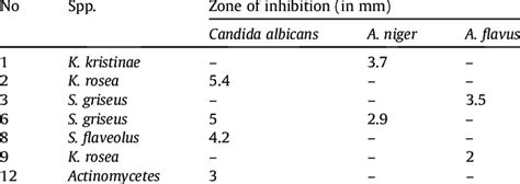 Inhibition Zone Of The Isolates Against The Indicator Fungi Download