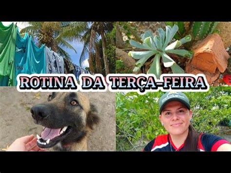 ROTINA DIÁRIA SERTÃO MUITO SERVIÇO COMPARTILHANDO DICAS YouTube