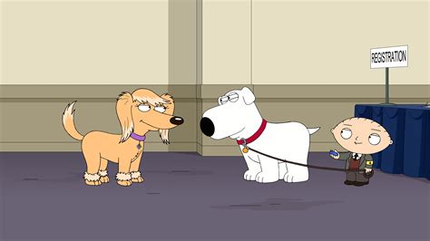 The Bonnie Family Guy A Deep Dive Into The Griffins Canine Companion