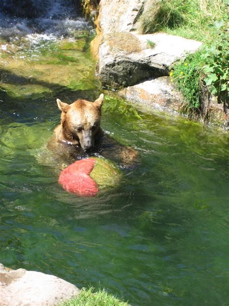 Alpenzoo Innsbruck Freizeitmonster