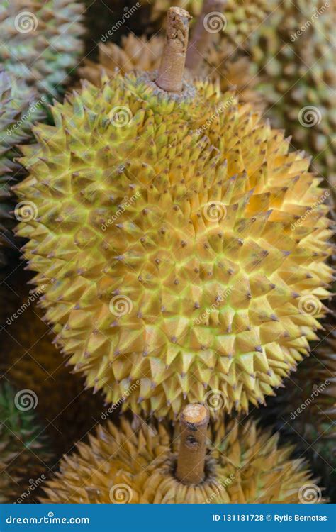 Background Surface Of Spiky Durian Fruits Stock Photo Image Of