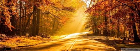 Fall Photography Sunbeam Facebook Cover Photo