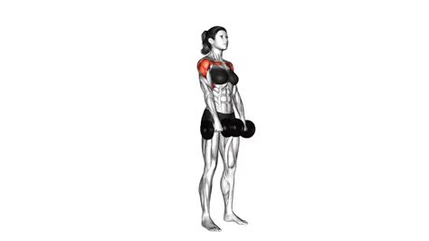 Dumbbell Front Raise - Video Guide | Lyfta