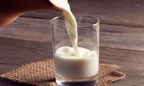 प्रेग्नेंट महिला को दिन में दूध और दही कब खाना चाहिए Milk And Curd In Pregnancy