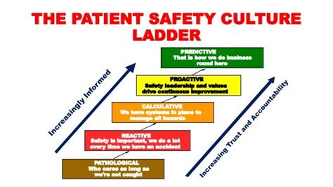 Patient safety culture