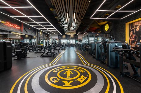 Golds Gym Alexandria On Behance