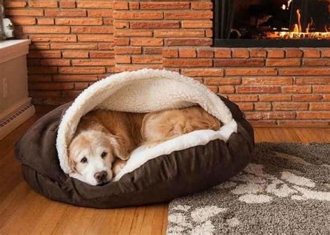 Мягкая лежанка для собак своими руками: 16 фотографий и выкроек