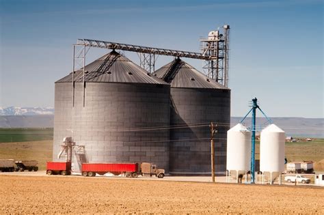 Silos de Grãos como aumentar sua durabilidade Domtec Sistemas