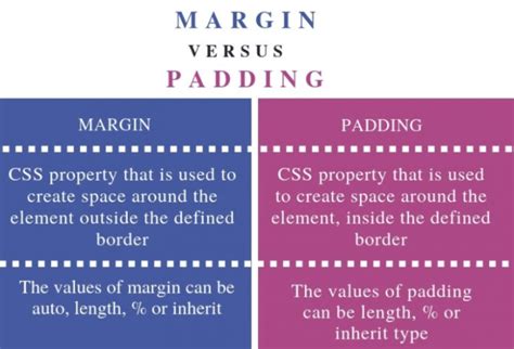 What Is The Difference Between Padding And Margin In Css Hot Sex Picture