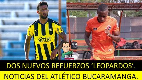 Nuevos refuerzos para el Atlético Bucaramanga Novedades noticias y