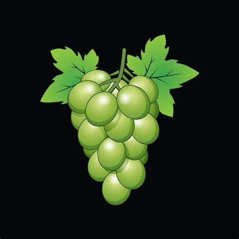 Cacho de uvas folhas verdes em uma ilustração de arte vetorial de