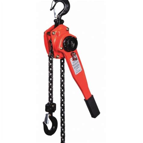 Dayton Lever Chain Hoist 3000 Lb Lift 10 Ft 4ZX47 1 Kroger