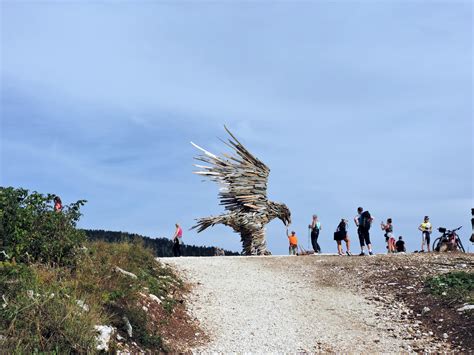 L Aquila Vaia La Natura Che Si Impadronisce Del Territorio L Aquila