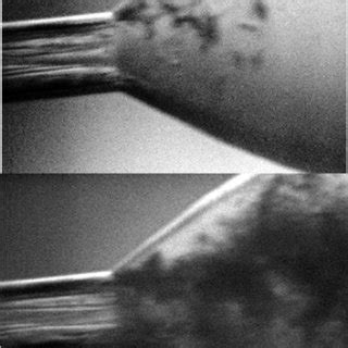 Two Different Regimes Of Cavitation Up Incipient Cavitation Down