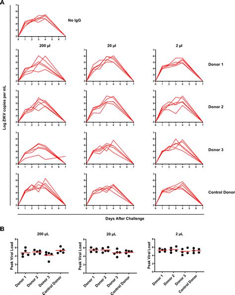 Passive Transfer Of Anti DENV IgG In BALB C Mice Anti DENV IgG