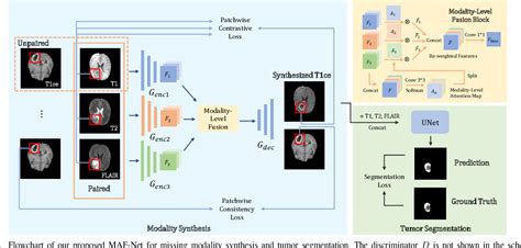 Figure From Multi Modal Brain Tumor Segmentation Via Missing Modality