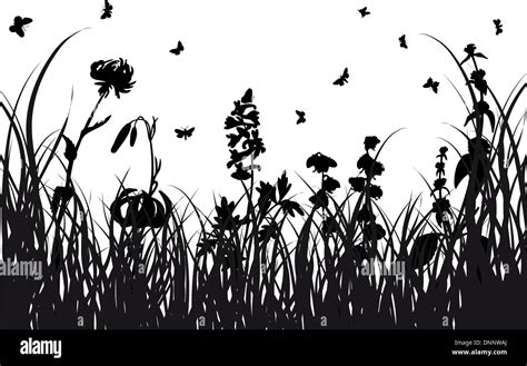 Vector Grass Silhouettes Background For Design Use Stock Vector Image And Art Alamy