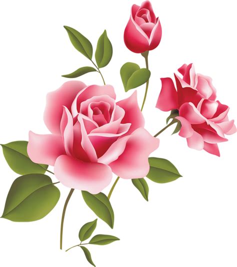 Download High Quality Flower clipart roses Transparent PNG Images - Art ...