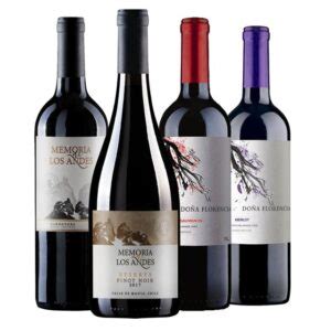 20 Melhores Vinhos Chilenos - Os Melhores Vinhos Chilenos de 2026