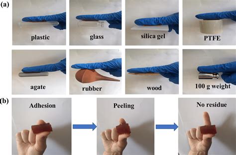 The Adhesion Performances Of Aa Cs Pam Fe Iii Hydrogels On Various