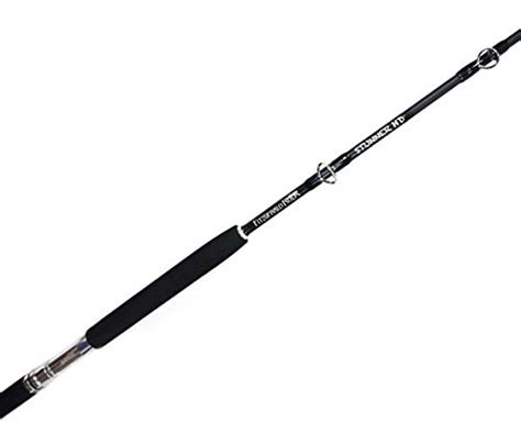 Best Rod For Snapper Fishing Currentyear Fisherman Journal