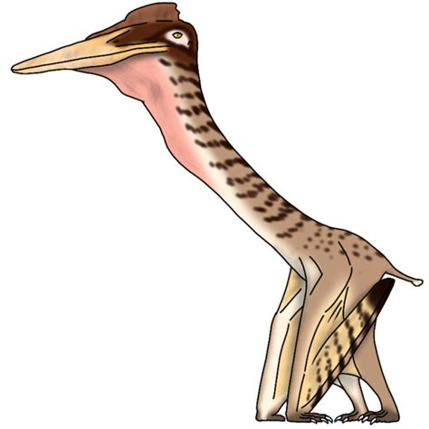 Quetzalcoatlus northropi render - ibisPaint