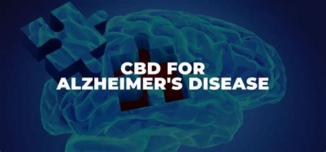 Cbd For Alzheimers Disease And Dementia