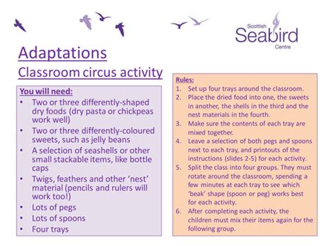 Scottish Seabird Centre - Adaptations classroom circus activity | Teaching Resources