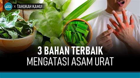 Cegah Asam Urat Dengan 3 Bahan Natural Hidup Sehat TvOne YouTube