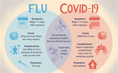 Difference Between Covid And Influenza Explained