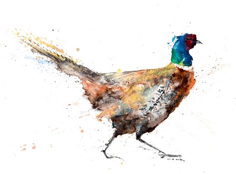 Pheasant Painting Pheasant Art Hand Signed Limited Edition Pheasant