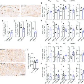 VX 765 reduces amyloid deposition but not RIPA or FA soluble Aβ in