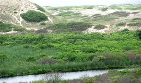 Cape Cod Bike Trails - Including Cape Cod Rail Trail - North of ...