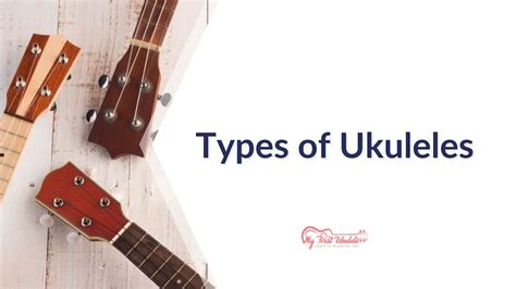 The Different Types of Ukuleles: From Weird To Wonderful