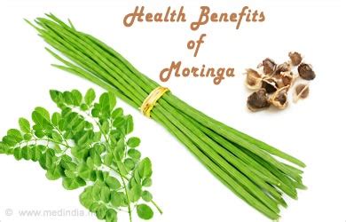 Moringa Drumstick Tree Health Benefits And Side Effect Oze