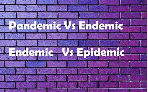 Pandemic Vs Endemic Vs Epidemic - LifeProNow LifeProNow