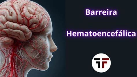 Barreira Hematoencef Lica Youtube