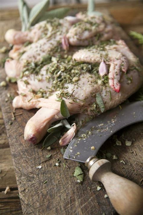 Preparation of a chicken 27085051 Stock Photo at Vecteezy