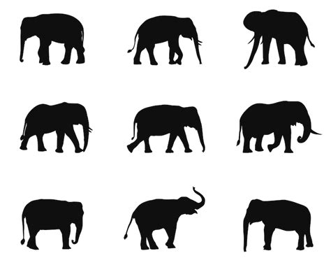 Elephant Svg Bundle Png Elephant Png Elephant Clipart Etsy