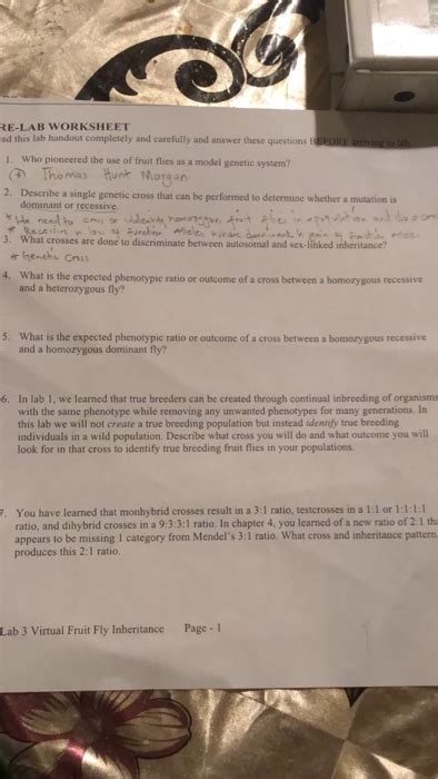 Mutation Virtual Lab Worksheet Answers Lab Dnaandgenesworksheet