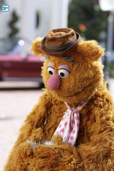 119 Best Fozzie Bear Images