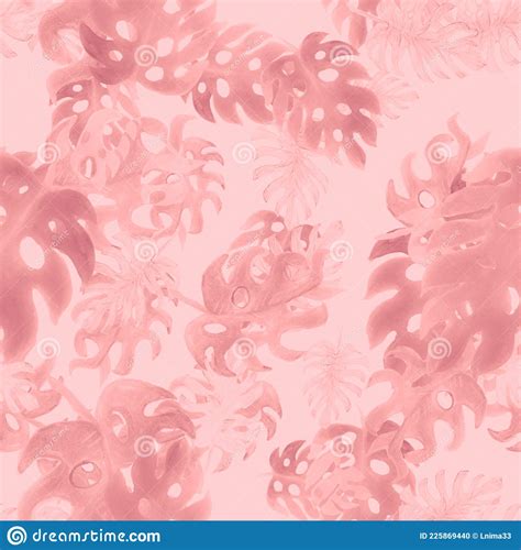 Coral Monstera Wallpaper Fuchsia Seamless Illustration Pink Tropical