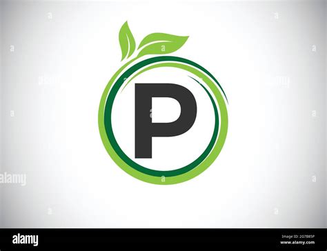 Initial P Monogram Letter Alphabet In A Spiral With Green Leaves Font